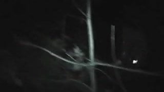 Adult Theater Slut Goes Dogging in the Night