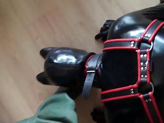 Rubber latex fetish couple - Rubber puppy play in rubber waders