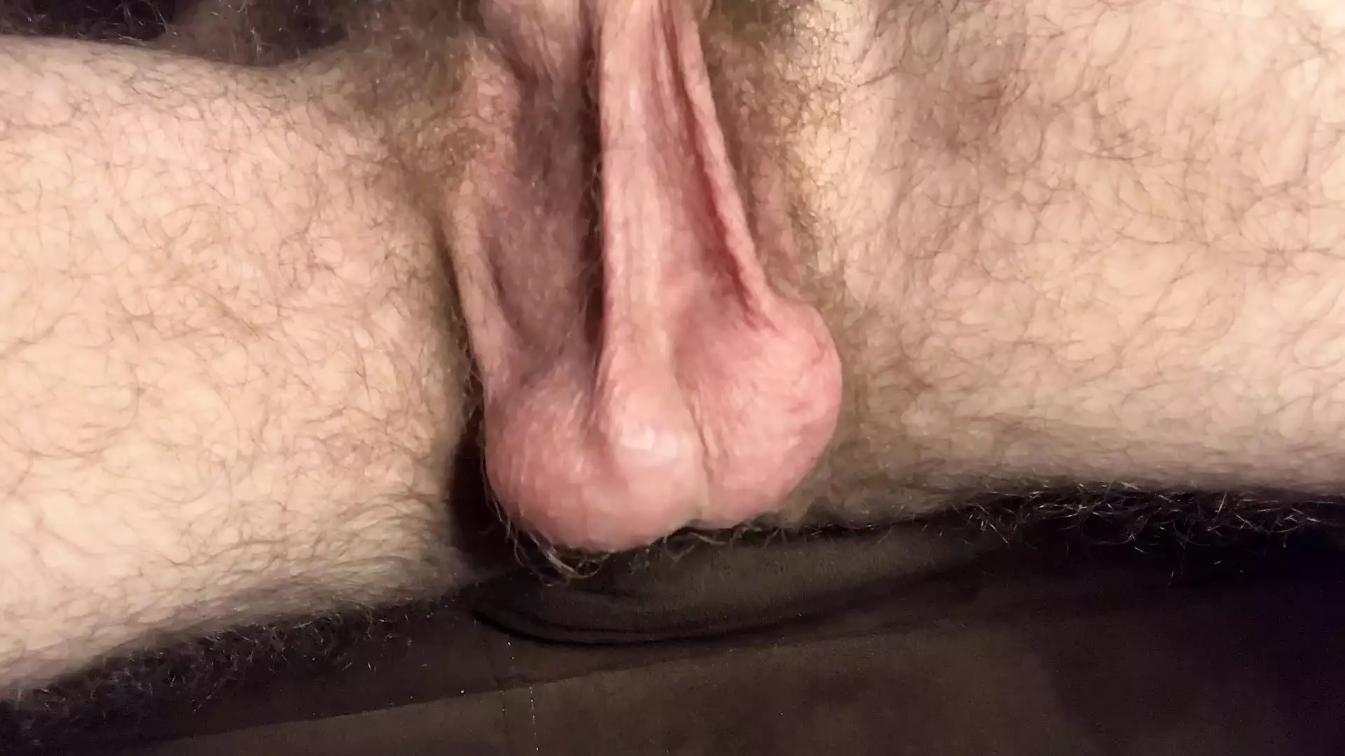 Showing off My very Hairy Dick Balls Scrotum and Foreskin on a Hot Day xHamster