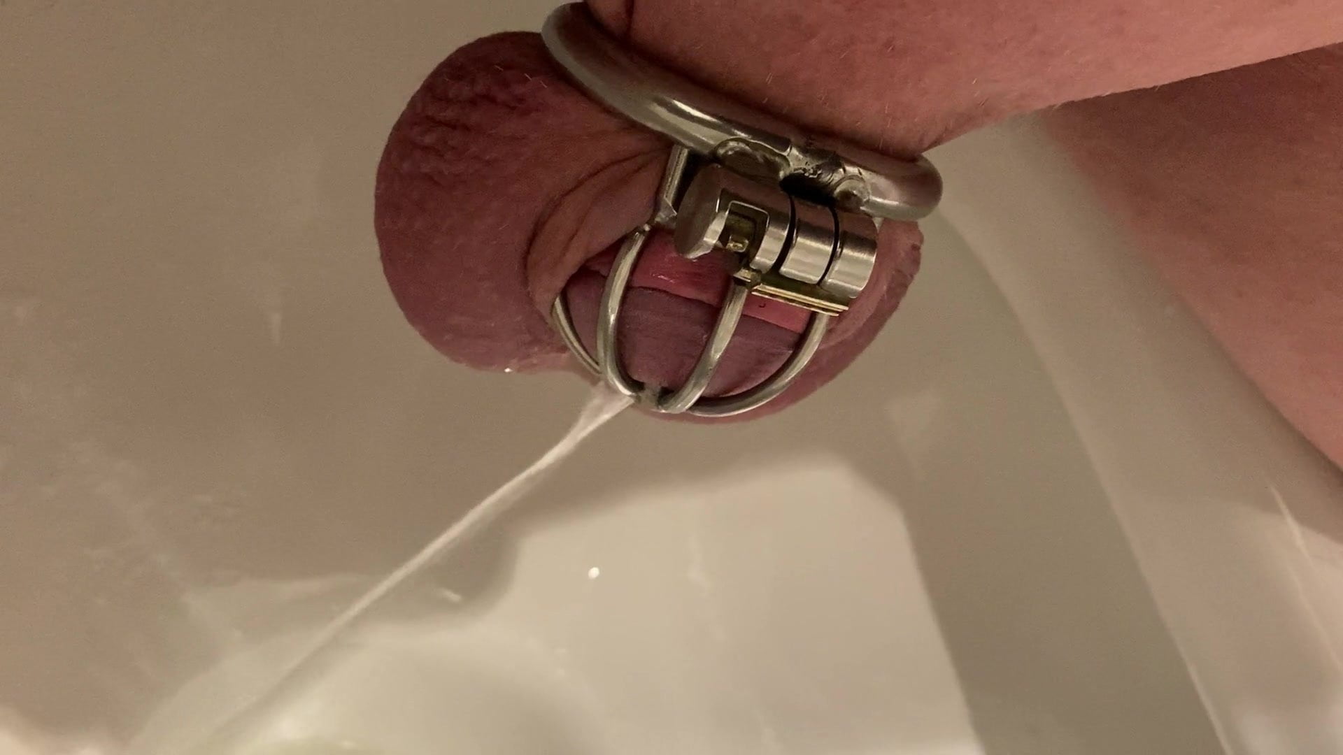 Pissing in chastity.