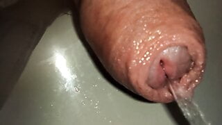 extreme close up of uncutted cock. foreskin play while piss