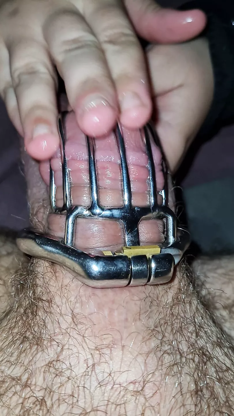 wife puts cock cage husband