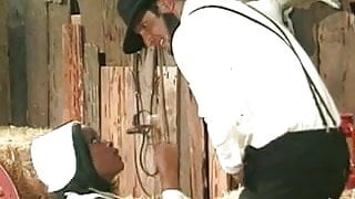 Amish farmer analyses a black maid