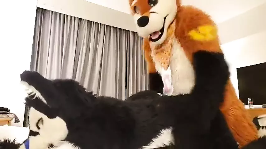Furry Porn Cosplay Couples - Play Fursuit with Friend, Free Big Gay Cocks Cumming Porn Video | xHamster