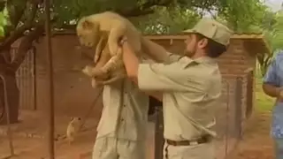 Fuck Safari Hardcore Pussy