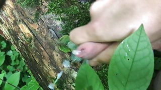 Jerking in Forest