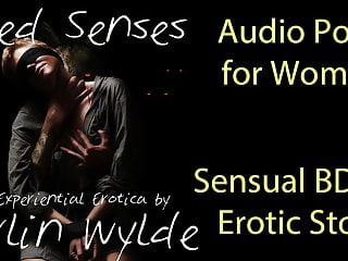 Audio bdsm erotic 14 Audio