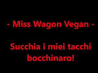 Ford escort wagon 1982 - Miss wagon vegan - suck my heels bocchinaro