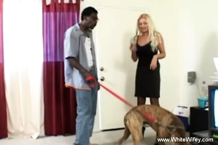 Pawg Dress Interracial Sex