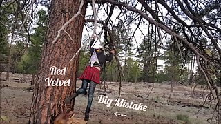 Red Velvet Hanging Wedgie