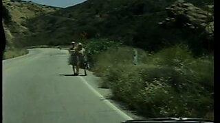 Two hitchhiking blonde honeys share studs cock
