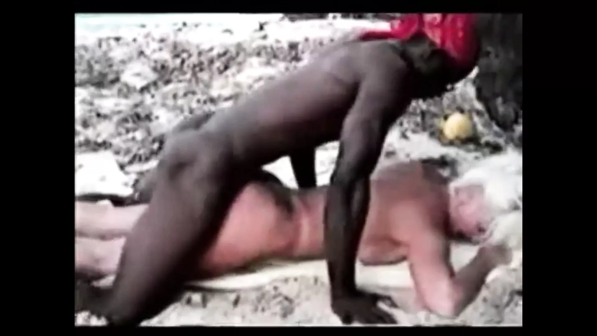 amateur interracial outdoor mfm jamaica sex