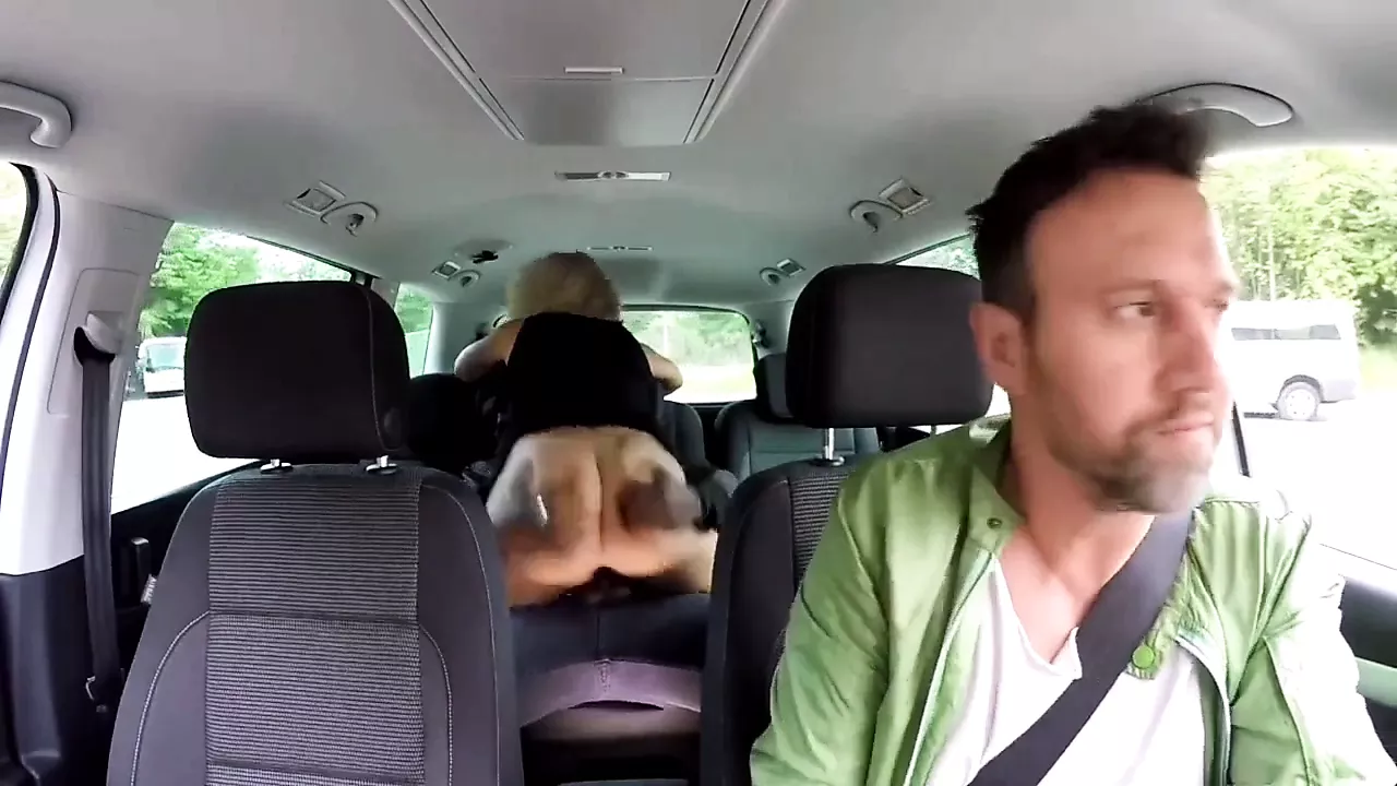 Cuckolded in the car Bbc fucks white wife in the backseat