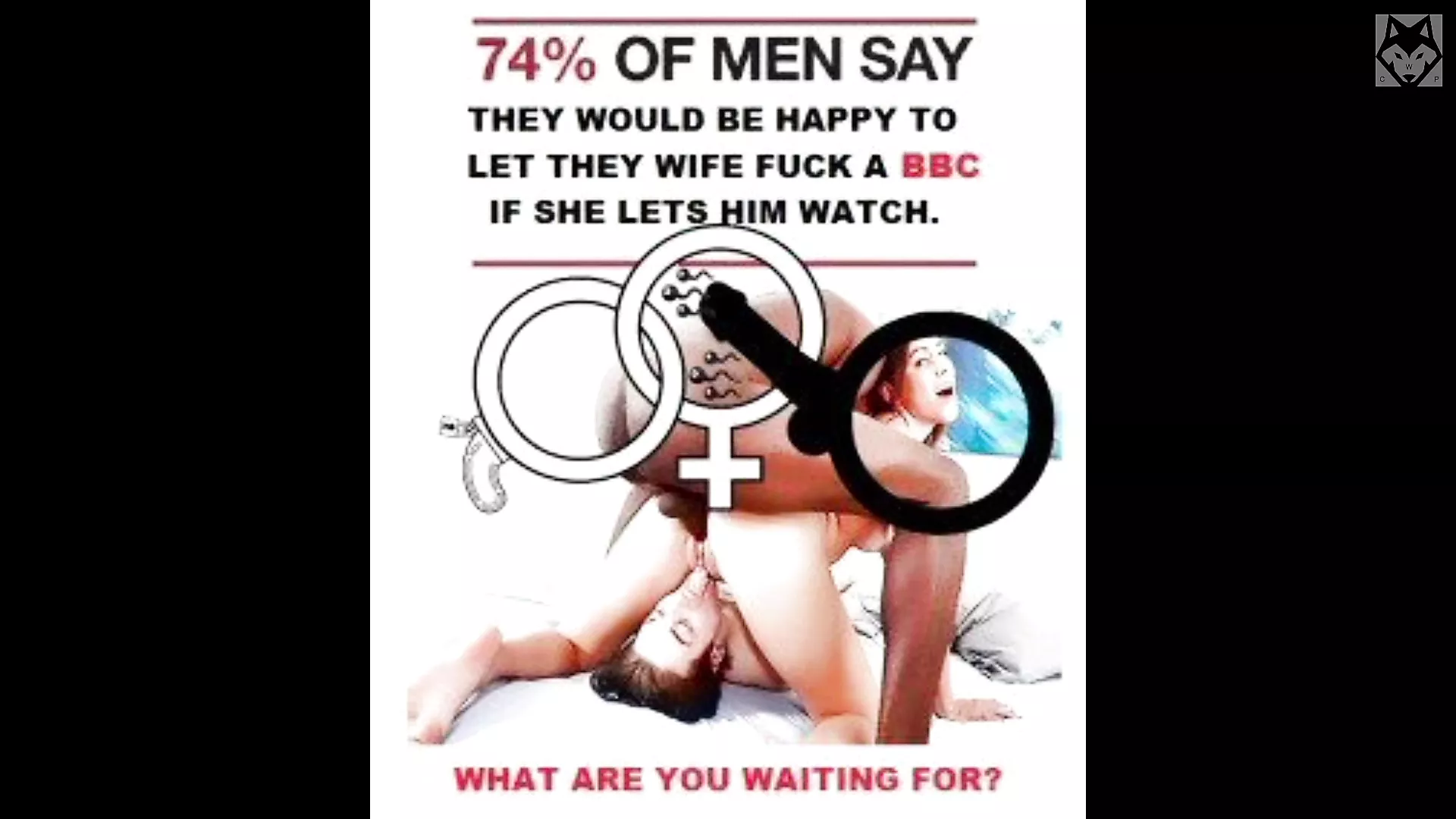cuckold wife bbc 6