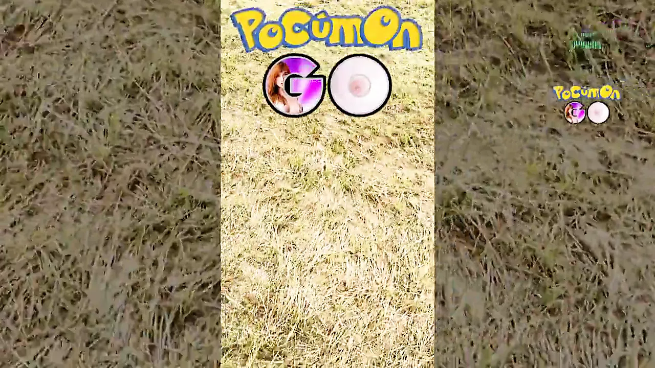 Pokemon GO Porn image