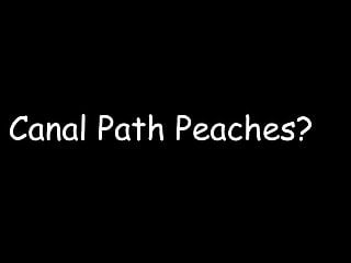 Path ass Canal path peaches
