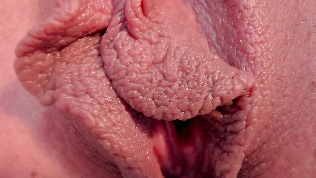 Pussy Closeup Hd - Close-up Pussy with Extremely Detail, HD Porn 74 | xHamster