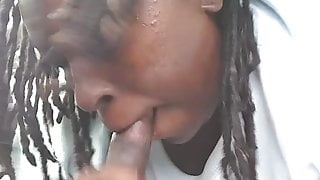 Another Dread head catching nut