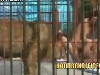 Black gay video apercu - Slut has sex in lions cage with gay army man