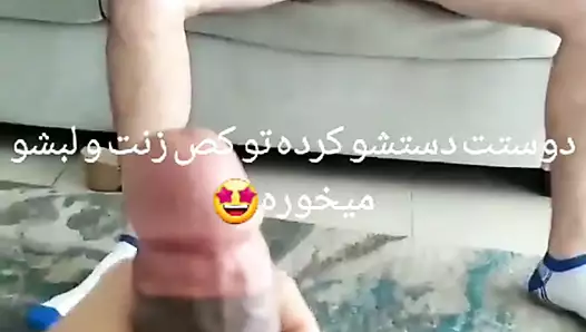 Hamster porn in Mashhad x Contact me