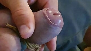 Cock bondage and nipple clamps