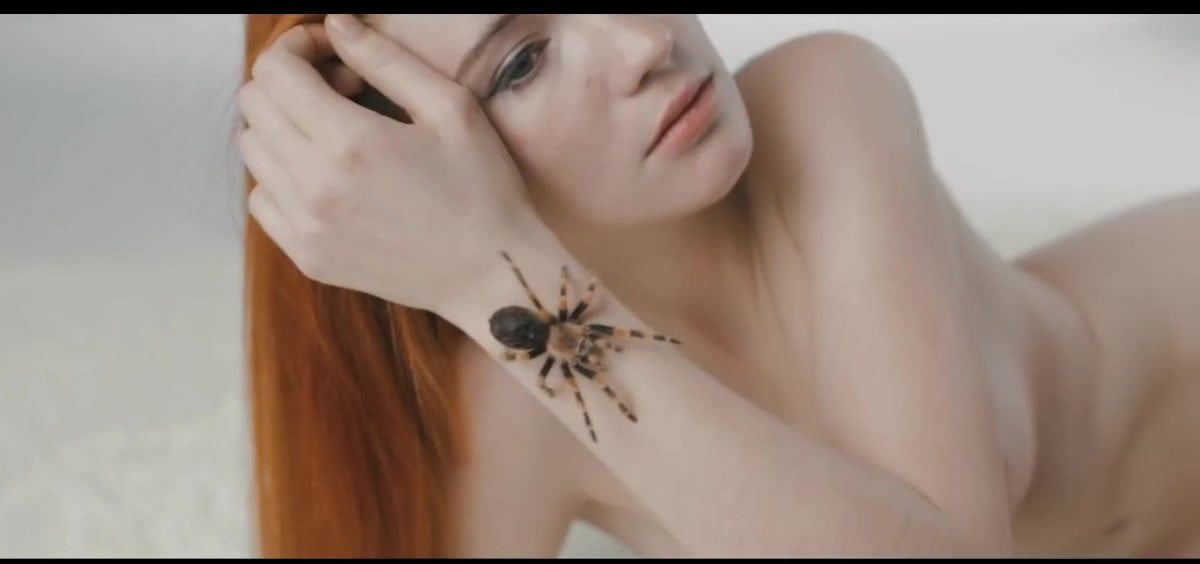 Sexy spiders porn - Real Naked Girls