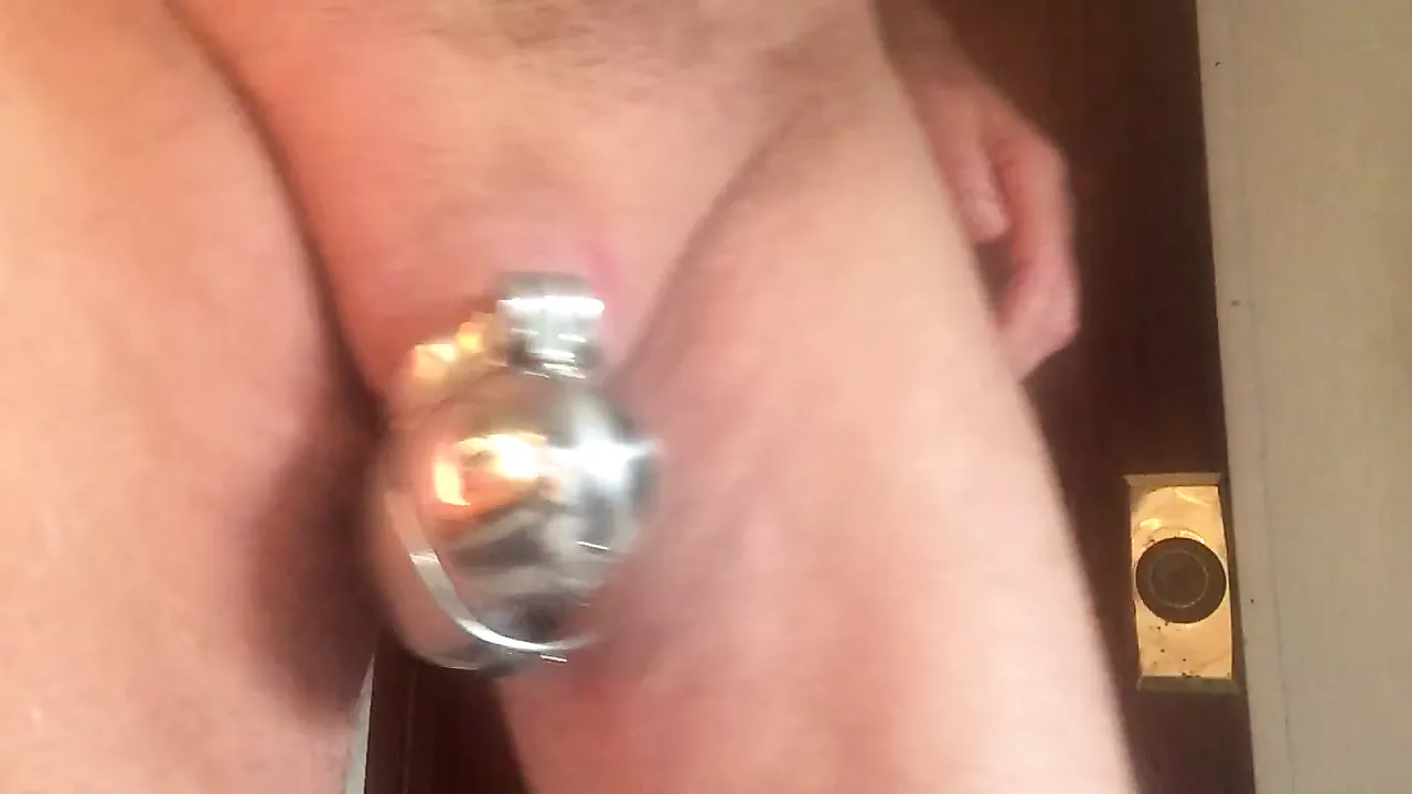 Cock and ball egg chastity cage